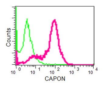 Flow Cytometric analysis of 2% paraformaldehyde fixed HeLa cells labeling CAPON with ab190686 at 1/130 dilution (red) compared with a rabbit monoclonal IgG control (green). Goat anti rabbit IgG (FITC) at 1/150 dilution was used as the secondary antibody.