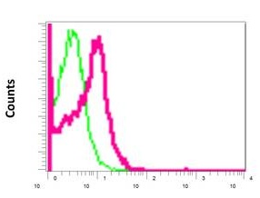 Flow cytometric analysis of permeabilized HeLa using ab166894 at 1/10 dilution (red) or a rabbit IgG (negative) (green).