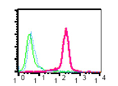 Flow cytometric analysis of permeabilized Jurkat cells, un-treated (green) or pervanadate treated (red) using ab76536 at a 1/20 dilution, and pervanadate-treated Jurkat cells using the same antibody pre-incubated with phospho-CBL peptide (blue) or non-phospho-CBL peptide (orange).