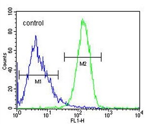 Flow cytometric analysis of Jurkat cells (right histogram) compared to a negative control cell (left histogram) labeling CCDC106 using ab174943 at a 1/10 dilution. FITC-conjugated goat-anti-rabbit secondary antibodies were used for the analysis.