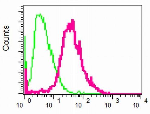 Flow cytometric analysis of 293T cells labelled with ab133478 at a 1/10 dilution (red), or negative rabbit IgG (green).