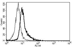 Ab47217, staining CD130 (gp130) by Flow Cytometry.
