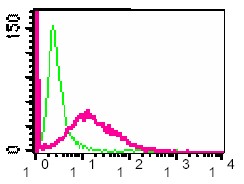 Flow cytometric analysis of permeabilized K562 cells, untreated (green) or Pervanadate treated (red) using ab32123