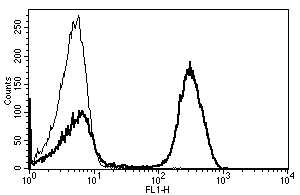 A typical staining pattern with the ab27397 monoclonal antibody of lymphocytes.