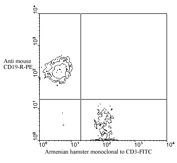 ab24947 staining mouse BALB/c spleen cells by flow cytometry. 1µg antibody was used for 106 cells.