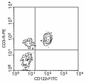 BALB/c lymph node cells were double stained with ab25380 and with anti-IL2RB (ab24943) at 1µg/106 cells. Small lymphocytes were gated and analyzed on a flow cytometer.