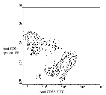 ab24978 staining mouse (BALB/c) spleen cells by flow cytometery. 1µg antibody was used for 106 cells.
