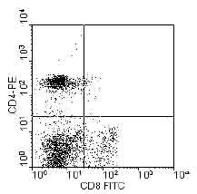 Peripheral blood mononuclear cells were isolated from heparinized pig blood on Ficoll-Hypaque density gradients and double-stained with ab25354 at 0.2ug/106 cells and mouse anti-pig CD8a-FITC. Lymphocytes were gated andanalyzed on a FACScan• flow cytometer (BDIS, San Jose, CA).