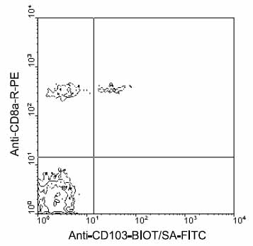 BALB/c mesenteric lymph node cells were first labeled with anti Integrin alpha E (ab25211)  at 0.1 µg/106 cells, and then double-stained with streptavidin-FITC and ab25498.  Small lymphocytes were gated and analyzed on a FACScan flow cytometer  (BDIS, San Jose, CA).