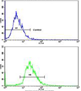 Flow Cytometric analysis of HepG2 cells labelling CD82 with ab135779 at 1/10 dilution (bottom histogram) compared to a negative control cell (top histogram). FITC-conjugated goat-anti-rabbit secondary antibodies were used for the analysis.