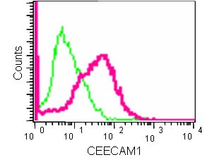 Flow cytometric analysis of 2% paraformaldehyde-fixed 293 cells labeling CEECAM1 with ab181979 at 1/300 dilution (red) compared to a Rabbit monoclonal IgG Isotype control (greeen), followed by Goat anti rabbit IgG (FITC) secondary antibody at 1/150 dilution.