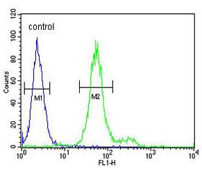 Flow cytometric analysis of 293 cells labelling ADAMTS18 with ab135728 at 1/10 dilution (right histogram) compared to a negative control cell (left histogram). FITC-conjugated goat-anti-rabbit secondary antibodies were used for the analysis.