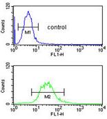 Flow cytometry analysis of HL60 cells labeling CEP128 (green, bottom histogram), using ab175959 at a 1/10 dilution, and negative control cells (blue, top histogram). FITC-conjugated goat-anti-rabbit secondary antibodies were used for the analysis.