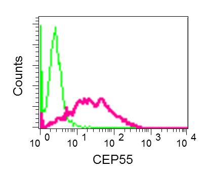Flow cytometric analysis of permeabilized CEP55 cells labeling CEP55 with ab170414, unpurified (red) or a rabbit IgG (negative) (green).