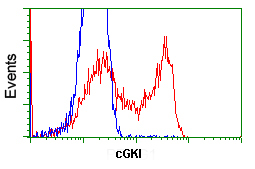 ab119000 at 1/100 dilution staining cGKI in HEK293T cells transfected with either cGKI overexpress plasmid(Red) or empty vector control plasmid(Blue) by Flow Cytometry.