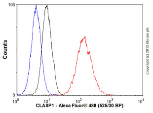 Overlay histogram showing HeLa cells stained with unpurified ab108620 (red line). The cells were fixed with 80% methanol (5 min) and then permeabilized with 0.1% PBS-Tween for 20 min. The cells were then incubated in 1x PBS / 10% normal goat serum / 0.3M glycine to block non-specific protein-protein interactions followed by the antibody (ab108620, 1/1000 dilution) for 30 min at 22°C. The secondary antibody used was Alexa Fluor® 488 goat anti-rabbit IgG (H&L) (ab150077) at 1/2000 dilution for 30 min at 22°C. Isotype control antibody (black line) was rabbit IgG (monoclonal) (0.1μg/1x106 cells) used under the same conditions. Unlabelled sample (blue line) was also used as a control. Acquisition of >5,000 events were collected using a 20mW Argon ion laser (488nm) and 525/30 bandpass filter.