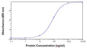 Ab37731, at a fixed concentration of 1 µg/ml, staining Clathrin light chain by ELISA. Protein was used as the test antigen, in a serial dilution. Goat anti IgY HRP was used as the second antibody.