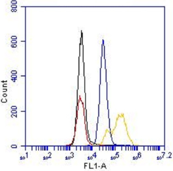 Flow cytometry with anti-cleaved PARP antibody conjugated to Alexa Fluor® 488.Flow cytometric analysis was performed on HeLa vehicle-treated cells and on HeLa cells treated with 1 µM staurosporine for 4 hours. Cells were fixed with paraformaldehyde and permeablized with methanol. HeLa vehicle-treated cells were stained with 1 µg/mL of the cleaved PARP antibody conjugated to Alexa488 (blue) or a negative, nonreactive Alexa Fluor® 488-conjugated control antibody (black). HeLa staurosporine-treated cells were stained with 1 µg/mL of the cleaved PARP antibody conjugated to Alexa Fluor® 488 (yellow) or a negative, nonreactive Alexa Fluor® 488-conjugated control antibody (red). 1% BSA in PBS was used as the blocking reagent for all blocking and antibody incubation steps.