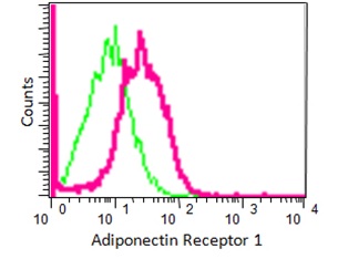 Overlay histogram showing HUVEC cells stained with purified ab126611 (pink line) at a dilution of 1/300. The cells were fixed with 2% PFA). The secondary antibody used was FITC goat anti-rabbit IgG and rabbit monoclonal IgG was used as the isotype control.
