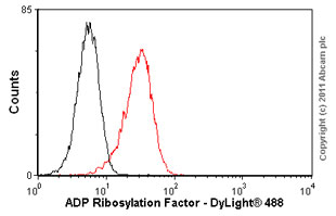 Overlay histogram showing HeLA cells stained with ab2806 (red line). The cells were fixed with 100% methanol (5 min) and then permeabilized with 0.1% PBS-Tween for 20 min. The cells were then incubated in 1x PBS / 10% normal goat serum / 0.3M glycine to block non-specific protein-protein interactions followed by the antibody (ab2806, 1/20 dilution) for 30 min at 22°C. The secondary antibody used was DyLight® 488 goat anti-mouse IgG (H+L) (ab96879) at 1/500 dilution for 30 min at 22°C. Isotype control antibody (black line) was mouse IgG1 [ICIGG1] (ab91353, 2µg/1x106 cells) used under the same conditions. Acquisition of >5,000 events was performed.