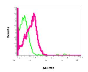 Flow cytometric analysis of permeabilized Hela cells using ab157218 at 1/10 (red) or a rabbit IgG negative (green).