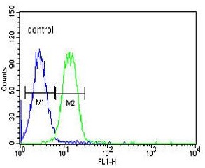 Flow Cytometrical analysis of K562 cells labeling Advillin with ab175126 at 1/10 (right histogram) compared to a negative control cell (left histogram). FITC-conjugated goat-anti-rabbit secondary antibodies were used for the analysis.