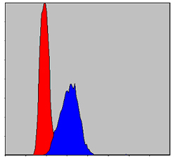 ab119917 at 1/200 dilution staining AIF in HepG2 cells (blue) by Flow Cytometry, negative control (red).
