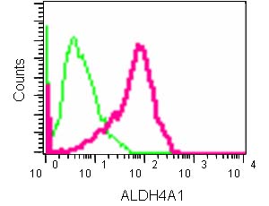 Flow cytometric analysis of 2% paraformaldehyde fixed HepG2 cells labeling ALDH4A1 with ab185208 at 1/160 dilution (red), or a rabbit IgG isotype control (green), followed by secondary goat anti rabbit IgG (FITC) at 1/150 dilution.