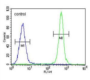 Flow cytometric analysis of MDA-MB435 cells, labeling ALKBH6 with ab170186 at 1/10 dilution (right histogram) compared to a negative control cell (left histogram). FITC-conjugated goat-anti-rabbit secondary antibodies were used for the analysis.