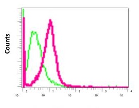Flow Cytometrical analysis of HeLa cells with ab169523 antibody at a dilution of 1/100 (red) or a rabbit IgG negative (green).