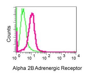 Flow cytometric analysis of 293T cells labeling alpha 2b Adrenergic Receptor with ab151727 at 1/10 dilution (red) compared to a nonspecific control antibody (green).