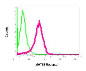 Flow cytometric analysis of permeabilized SH-SY5Y cells labeling 5HT1E Receptor with ab154813 at 1/10 dilution (red), compared to a rabbit IgG negative control antibody (green).