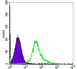 Flow cytometric analysis of Hela cells using ab119952 at a dilution of 1/200 (green) and negative control (purple).