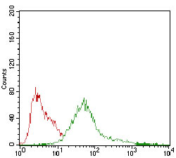 Flow cytometric analysis of HepG2 cells labeling AMPK gamma 1 with ab181460 at 1/200 dilution (green), compared to a negative control (red).