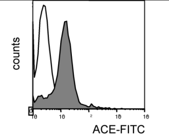 This image was kindly supplied as part of the review submitted by Brigitte Bauvois. Monocytes isolated from whole blood were stained with ab11709 (shaded histogram), isotype control (open histogram).