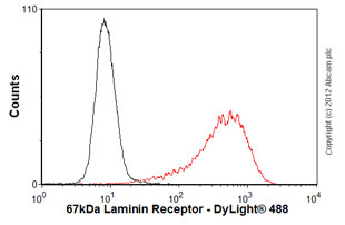 Overlay histogram showing MCF7 cells stained with ab80582 (red line). The cells were fixed with 4% paraformaldehyde (10 min)/ and then permeabilized with 0.1% PBS-Tween for 20 min. The cells were then incubated in 1x PBS / 10% normal goat serum / 0.3M glycine to block non-specific protein-protein interactions followed by the antibody (ab80582, 2µg/1x106 cells) for 30 min at 22ºC. The secondary antibody used was DyLight® 488 goat anti-mouse IgM (mu chain) (ab97007) at 1/500 dilution for 30 min at 22ºC. Isotype control antibody (black line) was mouse IgM [ICIGM] (ab91545, 2µg/1x106 cells) used under the same conditions. Acquisition of >5,000 events was performed.