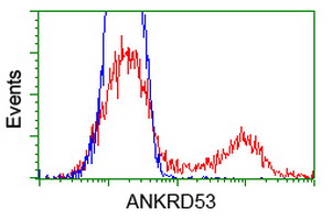 ab124035, at 1/100 dilution, staining ANKRD53 in HEK293T cells transfected with an ANKRD53 overexpress plasmid (Red) or empty vector control plasmid (Blue) by Flow cytometry