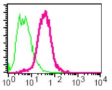 Flow cytometric analysis of AP2M1 in permeabilized MCF-7 cells using ab75995 (red) at 1/60 dilution or a rabbit IgG antibody (negative) (green).