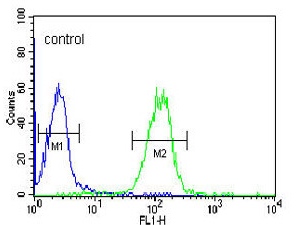 Flow cytometric analysis of HL60 cells labeling Apolipoprotein L 4 with ab175560 at 1/10 (right histogram), compared to a negative control cell (left histogram). FITC-conjugated goat-anti-rabbit secondary antibodies were used for the analysis.