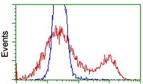 HEK293T cells transfected with either RC205304 overexpressing plasmid (Red) or empty vector control plasmid (Blue) were immunostained by ab117970 at a dilution of 1/100, and then analyzed by flow cytometry.