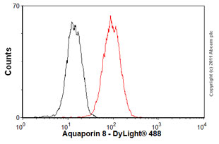 Overlay histogram showing HCT116 cells stained with ab77198 (red line). The cells were fixed with 80% methanol (5 min) and then permeabilized with 0.1% PBS-Tween for 20 min. The cells were then incubated in 1x PBS / 10% normal goat serum / 0.3M glycine to block non-specific protein-protein interactions followed by the antibody (ab77198, 1µg/1x106 cells) for 30 min at 22ºC. The secondary antibody used was DyLight® 488 goat anti-mouse IgG (H+L) (ab96879) at 1/500 dilution for 30 min at 22ºC. Isotype control antibody (black line) was mouse IgG2a [ICIGG2A] (ab91361, 1µg/1x106 cells) used under the same conditions. Acquisition of >5,000 events was performed.