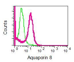 Flow cytometry analysis of HeLa cells labelling Aquaporin 8 with ab133667 at 1/100 dilution (red). Rabbit IgG (negative control) shown in green.