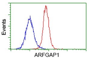 ab124388 at 1/100 dilution staining ARFGAP1 in HeLa cells by Flow cytometry (Red) compared to a nonspecific negative control antibody (Blue).