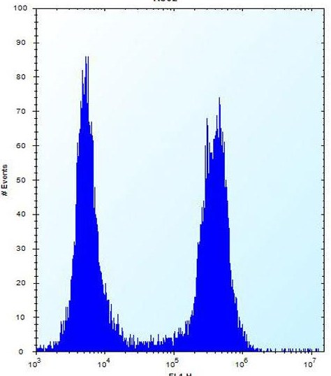 Flow Cytometrical analysis of K562 cells labeling ARSF with ab171642 antibody at a dilution of 1/10 (right histogram) compared to a negative control cell (left histogram). FITC-conjugated donkey-anti-rabbit secondary antibodies were used for the analysis.