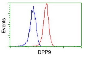 ab119808 at 1/100 dilution staining DPP9 in Jurkat cells by Flow cytometry (Red) compared to a nonspecific negative control antibody (Blue).