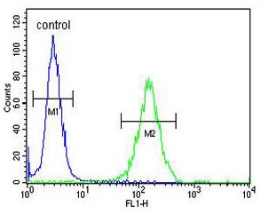 Flow cytometric analysis of 293 cells labelling DZIP1 with ab135731 at 1/10 dilution (right histogram) compared to a negative control cell (left histogram). FITC-conjugated goat-anti-rabbit secondary antibodies were used for the analysis.