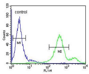 Flow Cytometrical analysis of NCI-H460 cells labeling EBPL with ab155137 at 1/10 (right histogram) compared to a negative control cell (left histogram). FITC-conjugated goat-anti-rabbit secondary antibodies were used for the analysis.