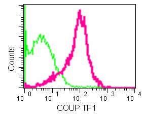 Flow cytometric analysis of COUP TF1 labeling 2% paraformaldehyde fixed 293 cells using ab181137 at 1/70 dilution (red), compared to a Rabbit monoclonal IgG isotype control (green). Goat anti rabbit IgG (FITC) secondary antibody was used at 1/150 dilution.