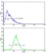 Flow cytometric analysis of NCI-H292 cells labelling EHM2 with ab135616 at 1/10 dilution (bottom histogram) compared to a negative control cell (top histogram). FITC-conjugated goat-anti-rabbit secondary antibodies were used for the analysis.