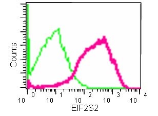 Flow cytometric analysis of 2% paraformaldehyde fixed 293 cells labeling EIF2S2 using ab184549 at a 1/160 dilution (red) or a Rabbit monoclonal IgG control (green).Secondary antibody: Goat anti rabbit IgG (FITC) secondary at a 1/150 dilution